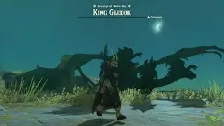 There's A New King In Hyrule Now