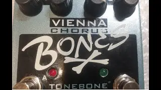 Бутиковый хорус VIENNA Bones Radial test