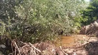 Лютеж отдых киевское море