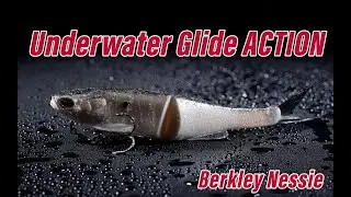 Unlock the Full Potential of the Berkley Nessie | Underwater Action