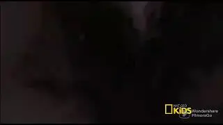 Otra Película de Huevos y Un Pollo - Nat Geo Kids - Intro
