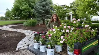 Planting Pink-Blooming, Full Sun Loving Plants! 🥰🌸💗 // Garden Answer