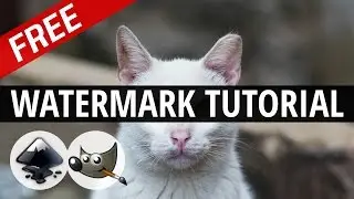 How To Make a Logo/Icon Overlay/Watermark for Videos
