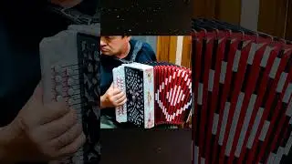 По Дону гуляет на гармони Чайка 2 после настройки и зхамены голосов тест звучания 3 аккорда 300 песе