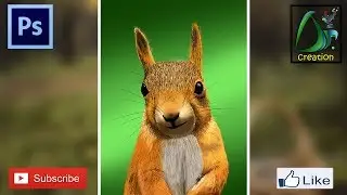 Squirrel Portrait | Digital Painting | Photoshop | Dr. Creation |