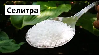 Амониев нитрат, Амониева селитра, Селитра, Азотен тор