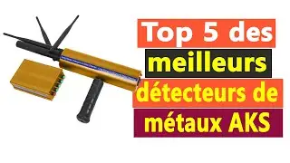 Top 5 des meilleurs détecteurs de métaux AKS