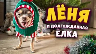Лёня и долгожданная елка