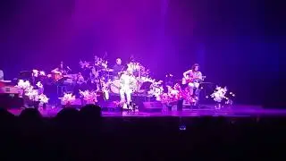 Plateau. Sydney Nirvana Unplugged tribute show