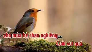 Mua he chao nghieng.thcs mtt