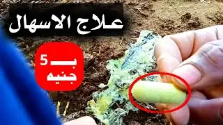 نصيحة لوجه الله قرص بـ 5 جنيه يقضي على الاسهال عند المواشي ( بقر  اغنام  ماعز )  يخفية أصحاب الخبرة
