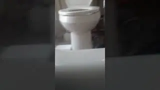 OMG ITS SLIPPERY 🧼🧼🧼🧼🧼🧼🧼🧼🧼🧼🧼🧼🧼🧼🧼🧼