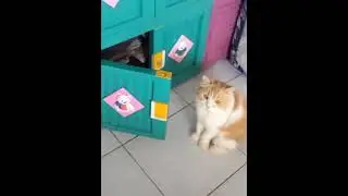 Ketahuan juga akhirnya