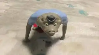 Click this!😂🤣
