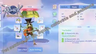 Ragnarok Origin ROO Pet System Guide level up, cultivate, enhance
