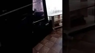 Мой аккаунт Леон Леоновичь заблокировали
