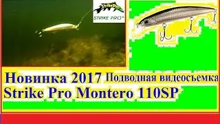 Новинка 2017г Strike Pro Montero 110SP - Подводные видео съёмки №2