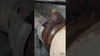 My First Tranny ⏸️ | 2008 Infinity G35x AWD -  Exhaust Removal