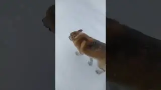 Идем за водой с малышом!)