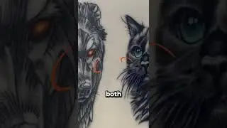Gʀᴀᴘʜɪᴄ 🆚 Rᴇᴀʟɪsᴍ Bʀᴇᴀᴋᴅᴏᴡɴ 🐺🤔