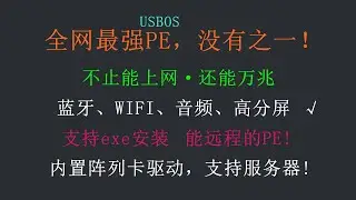USBOS：在座PE都是垃圾！能上网、可装exe，可远程，带一切驱动！支持服务器阵列卡