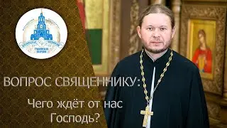 ВОПРОС СВЯЩЕННИКУ: Чего ждёт от нас Господь?