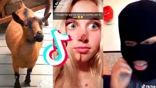 TikToks without copyrighted music v.1