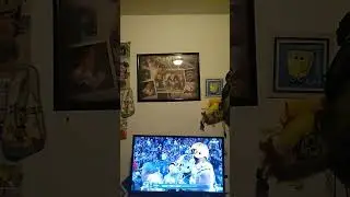 Bills Won! Sorry, Tom Grossi!