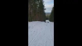 Липовая 24.02.2024