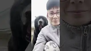 Самый харизматичный пес в мире. Волкособ Гулдан.