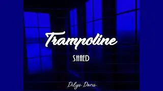 Trampoline - SHAED (Lyrics Video)