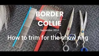 Grooming Tutorial: Trimming a Border Collie for the show ring