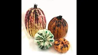 How to Ice Dye Pumpkins