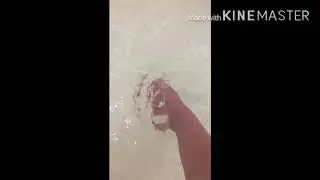 Просто красивое видео🌚🤍🌝