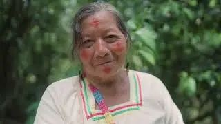 Cotopaxi | Chakra Of The Amazon