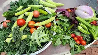 Big August Harvest