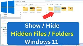 How to Show or Hide Hidden Files and Folders in Windows 11 (2 Easy Steps)