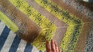 Коротко - бактус готов!
