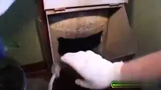 мужчина застрял в мусоропроводе