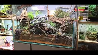 Недоблог 1.8 Палюдариум. Настройка водопада. Посадка растений...