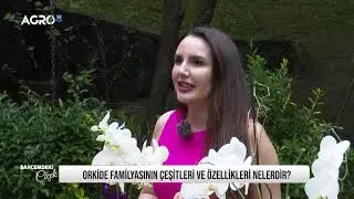BAHÇEMDEKİ ÇİÇEK İLK BÖLÜM - ORKİDE FAMİLYASI