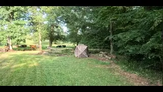 Crossbow blind for this year's Deer Season.