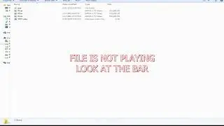 TS VIDEO PROBLEM