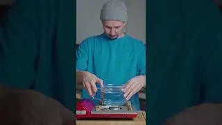 Дынное Саго!