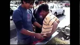 TRAS CAMARAS POLLITO 1