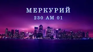 230 АМ 01 антимагнитная пломба