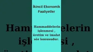EKONOMİK FAALİYETLERİN SINIFLANDIRILMASI