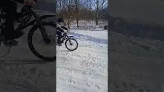 Случай зимой