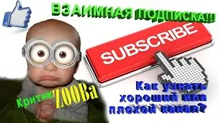 ВЗАИМНАЯ ПОДПИСКА! с просмотрами! Плохие и Хорошие КАНАЛЫ YouTube! ZOOBa!
