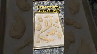 How to store your #sourdough #starter for years! Great backup plan.
